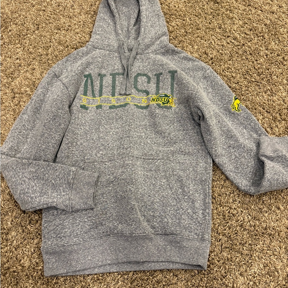NDSU bison Champion Gray hoodie